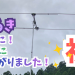 Thumbnail of post image 121