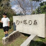 Thumbnail of new posts 046